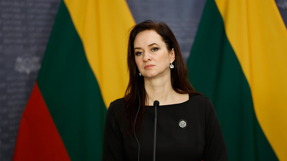 В Литве сообщили о готовности Латвии и Эстонии закрыть белорусскую границу - свежие новости на Toplenta