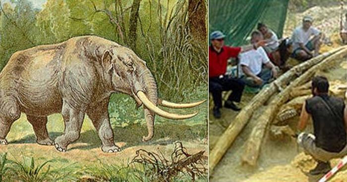 10 доисторических окаменелостей, которые перевернули представление о древней истории - свежие новости на Toplenta