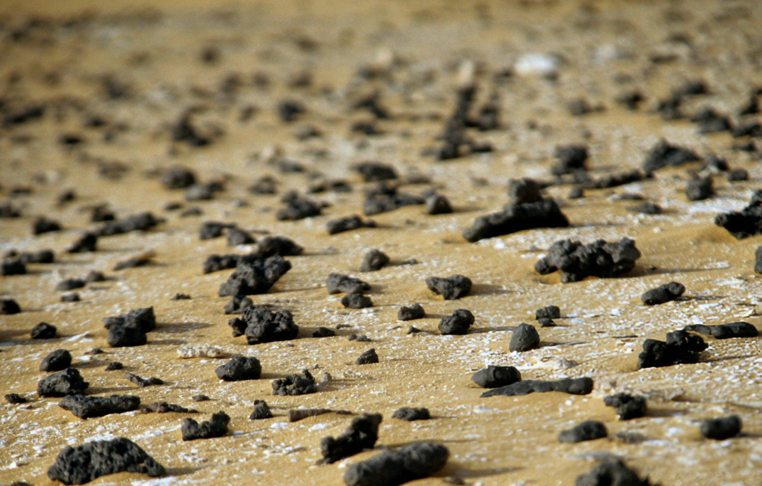 Природа Сахары. Часть 4 - свежие новости на Toplenta по теме египет