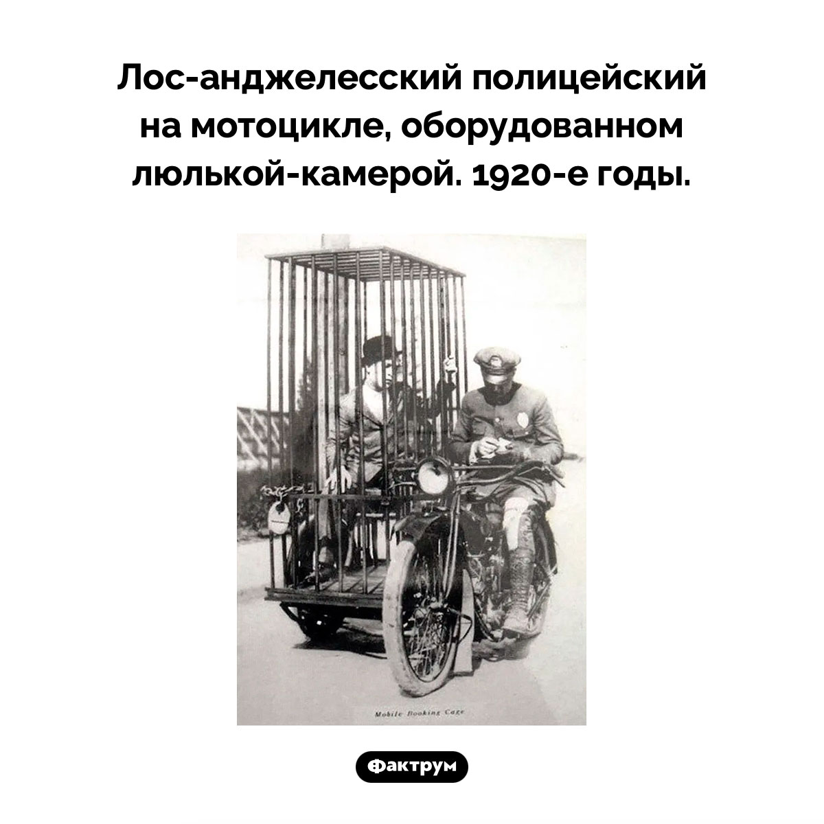 Мотозак - свежие новости на Toplenta по теме Факт