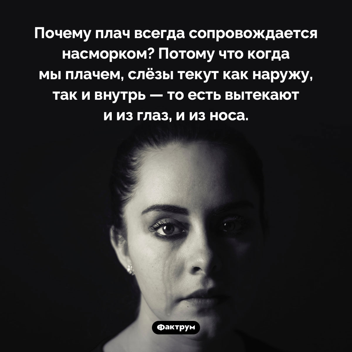 Когда мы плачем, слёзы вытекают и из глаз, и из носа - свежие новости на Toplenta по теме Факты в картинках
