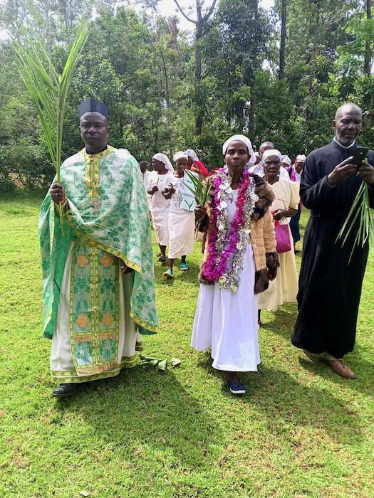 Вербное воскресенье у православных в Африке - свежие новости на Toplenta по теме В мире  /  Соцпортал