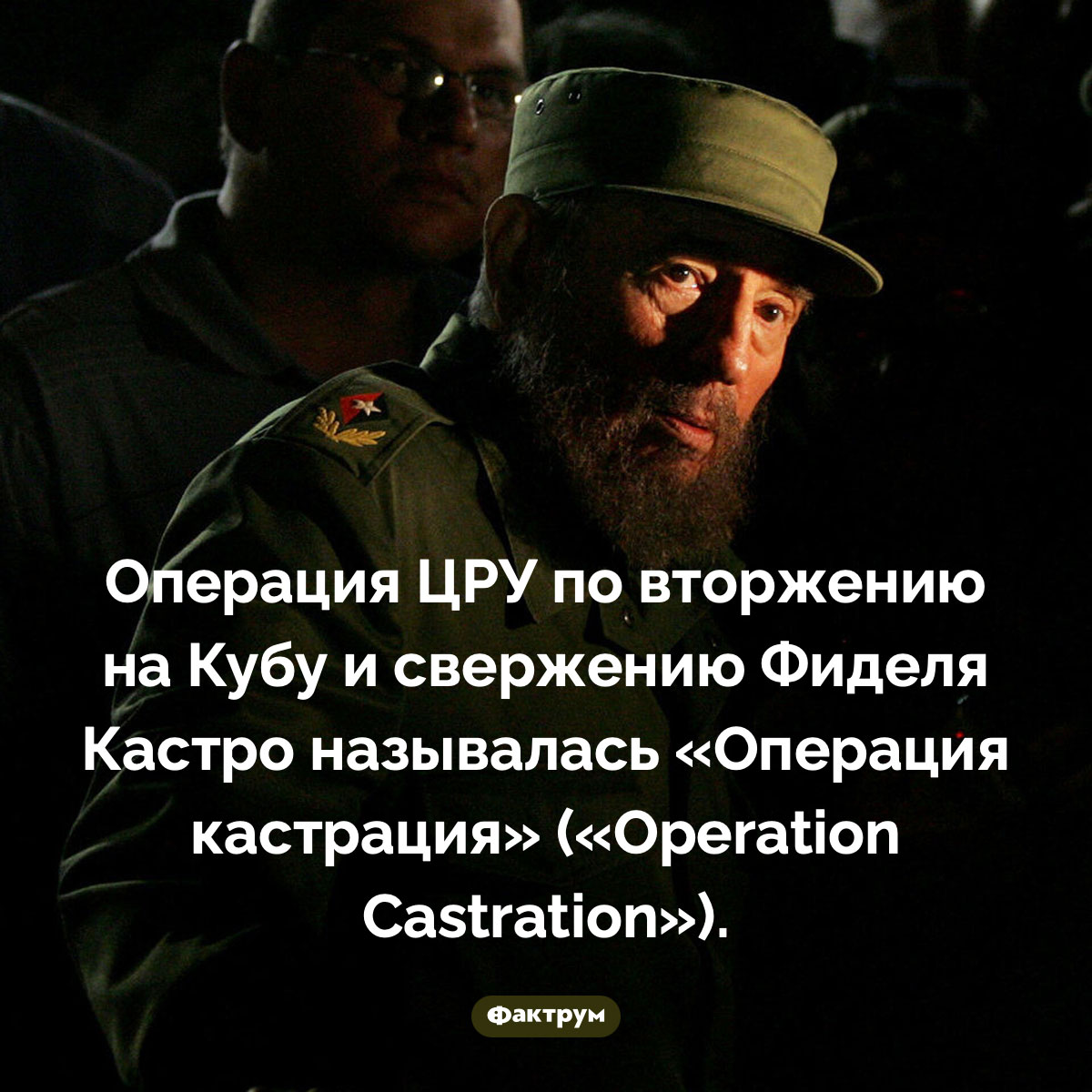 «Операция кастрация» - свежие новости на Toplenta по теме названия