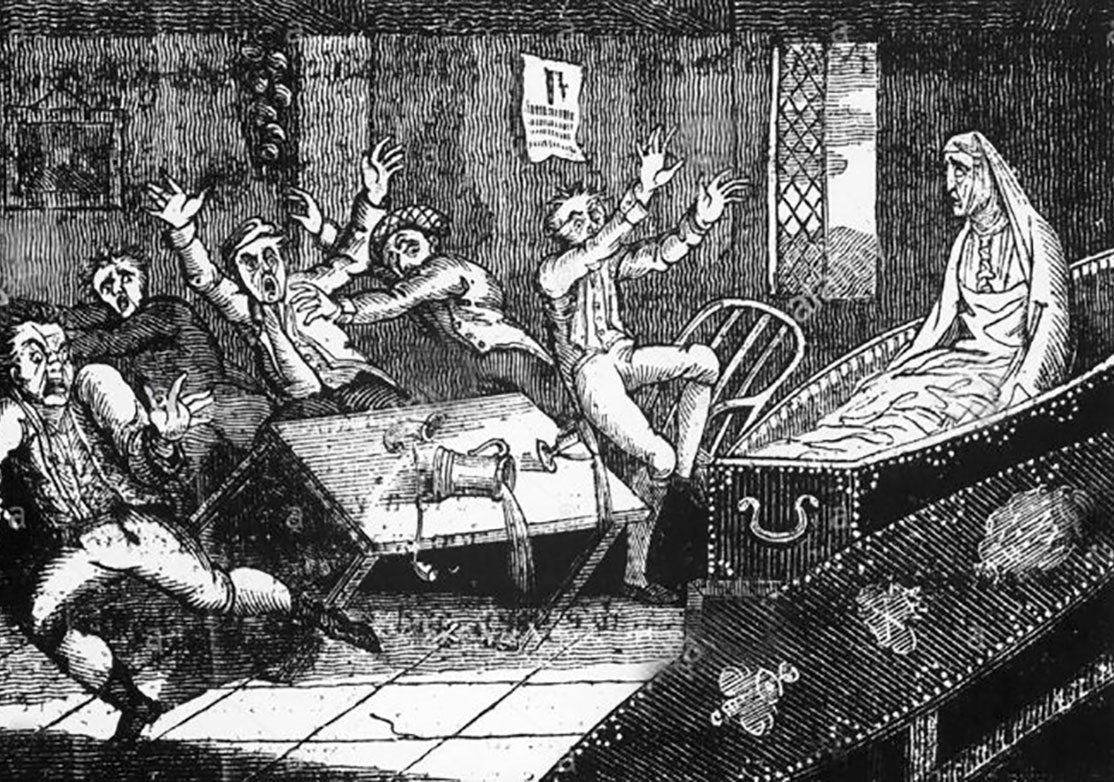 Полуповешенная Мэгги - свежие новости на Toplenta по теме Факт