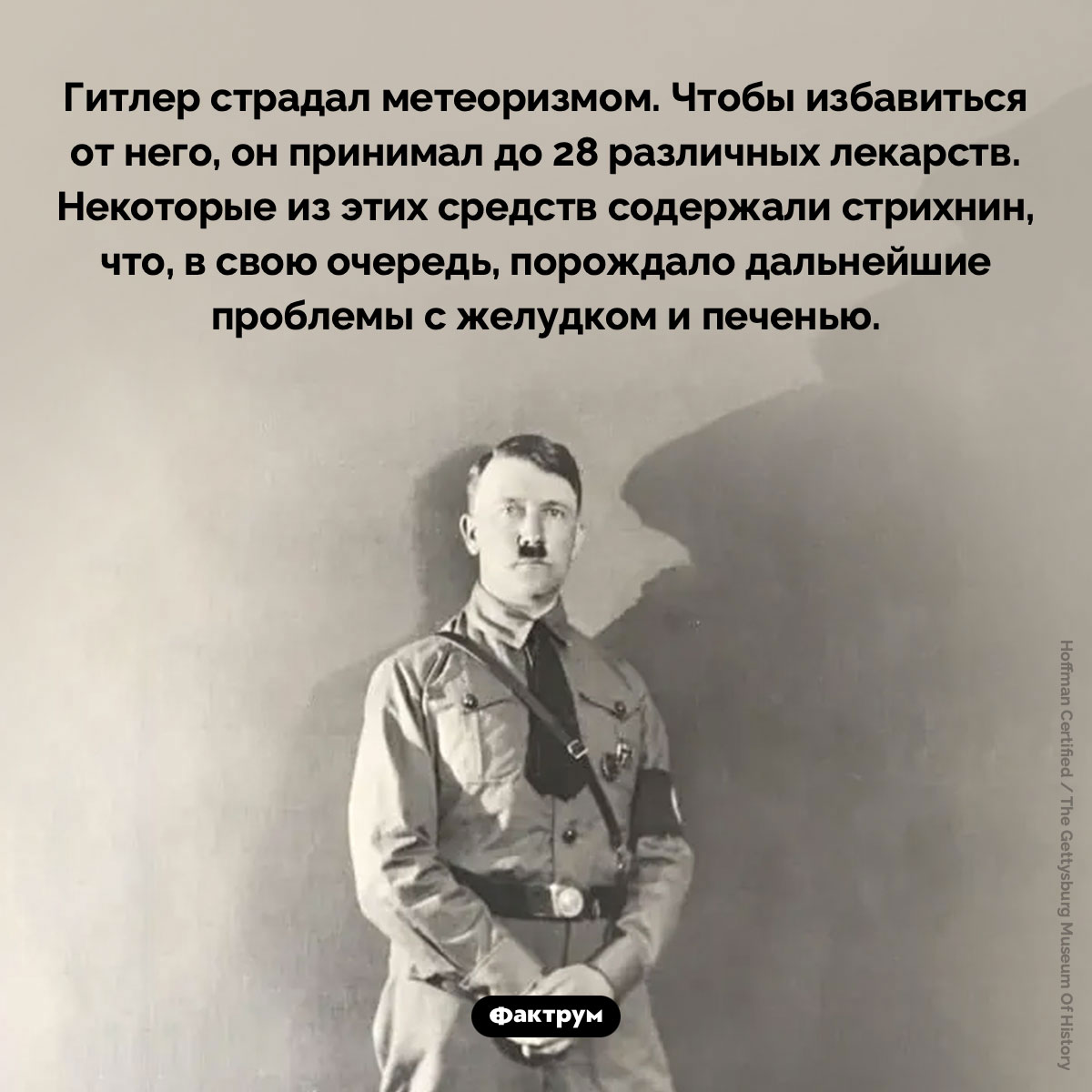 Гитлер страдал метеоризмом - свежие новости на Toplenta по теме Известны