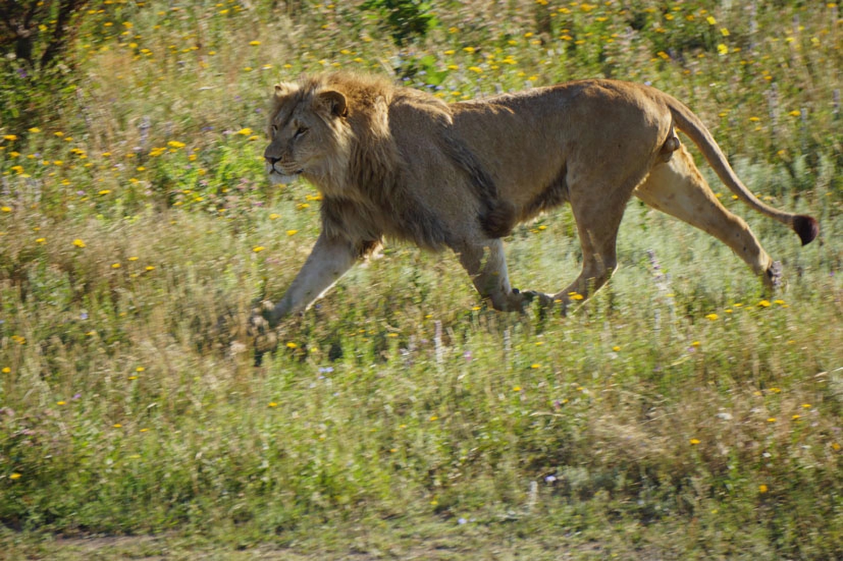 10-е годы XXI века на снимках Игоря Стомахина. 2014. «В Крыму». Часть 2 - свежие новости на Toplenta по теме Россия
