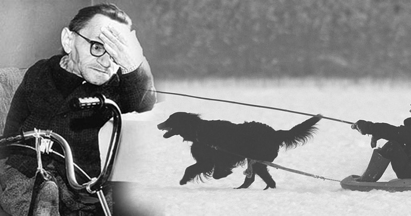 История Константина Морозова – самого маленького человека в СССР - свежие новости на Toplenta по теме Ульянов