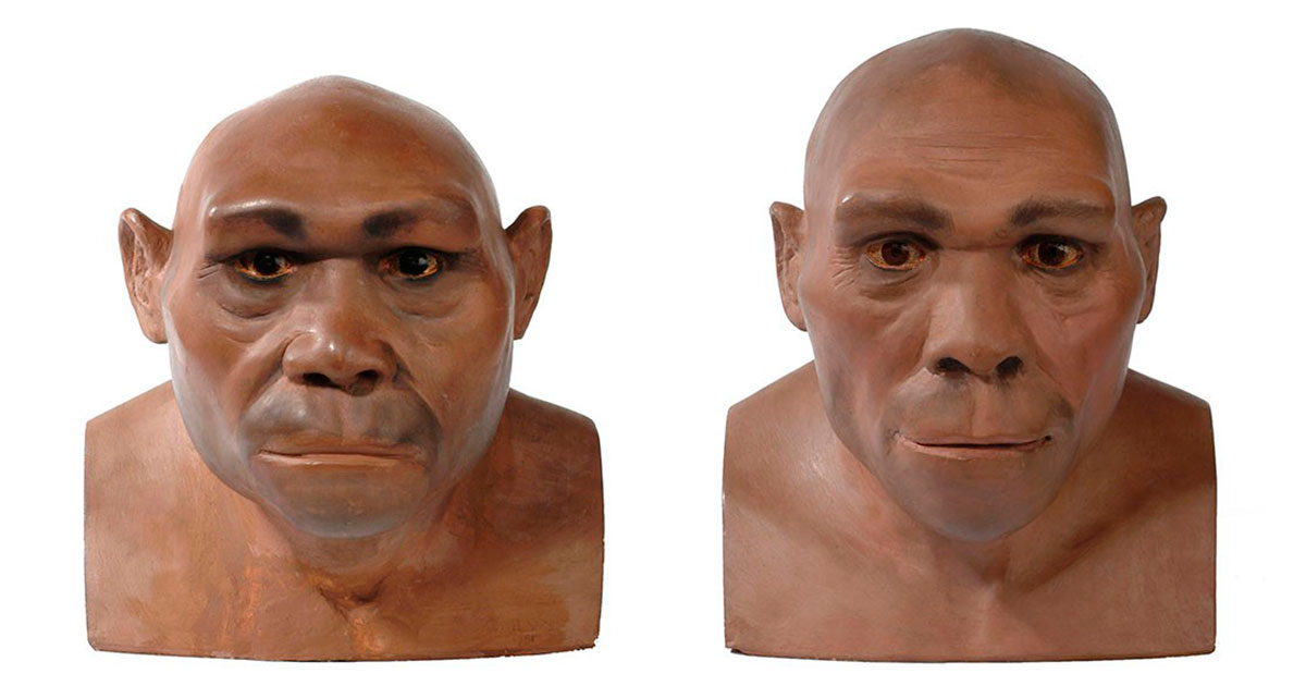 Самый долго живший вид человека - свежие новости на Toplenta по теме Наук