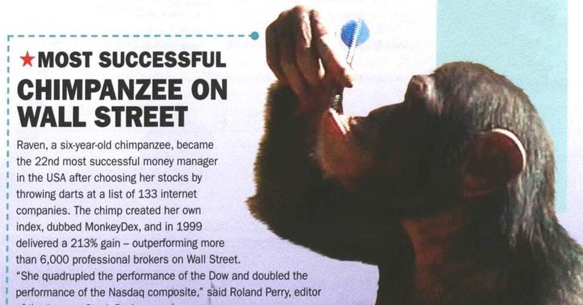 Шимпанзе обыграла на бирже более 6000 профессиональных брокеров - свежие новости на Toplenta по теме Обезьян