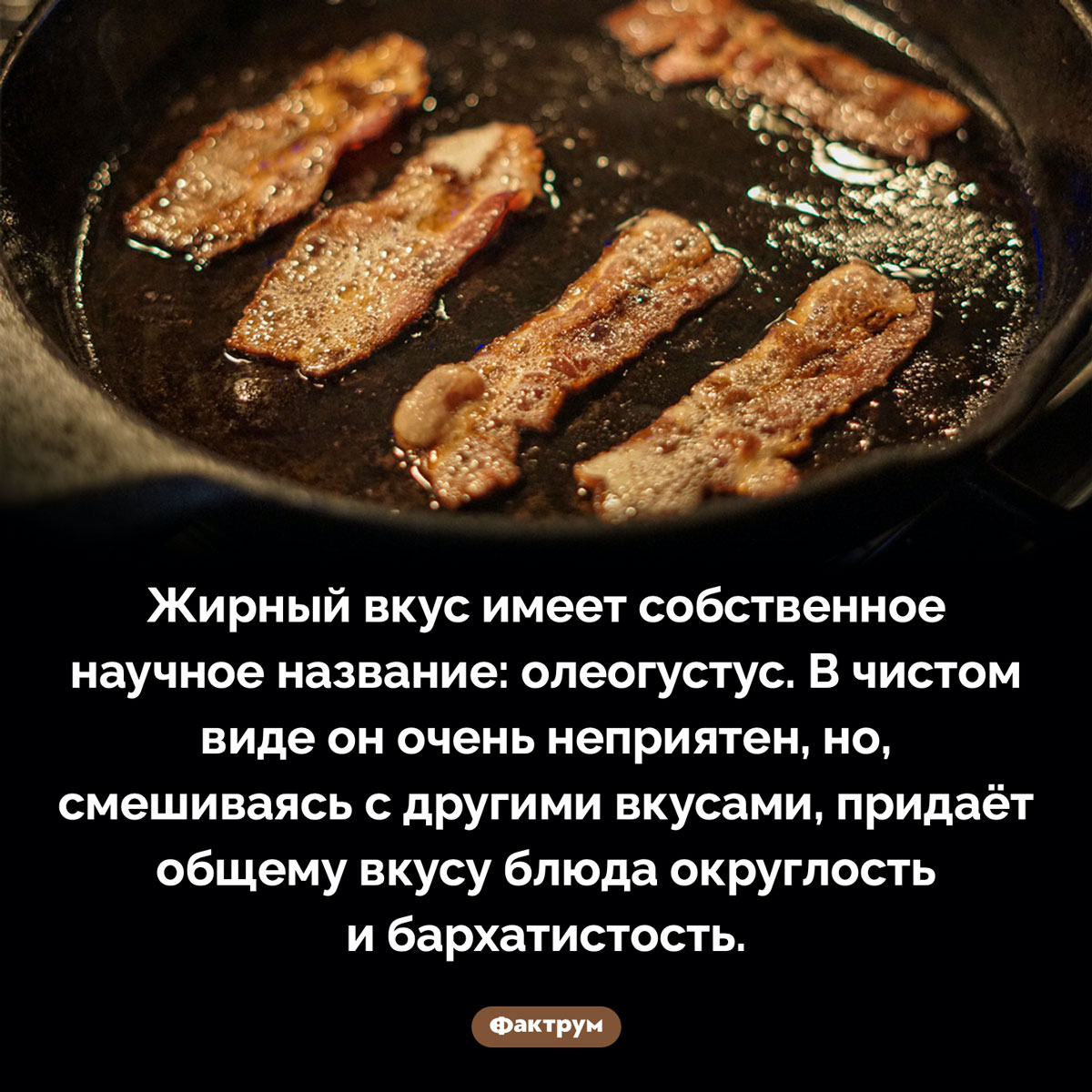 Жирный вкус называется олеогустус - свежие новости на Toplenta по теме Факты в картинках