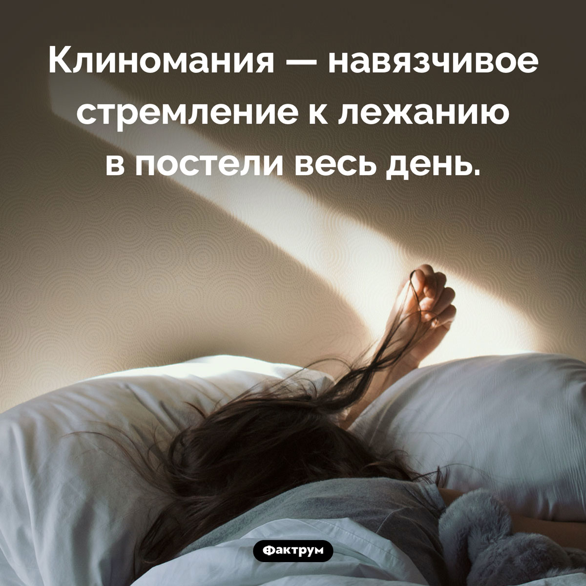 Что такое «клиномания» - свежие новости на Toplenta по теме Психологи