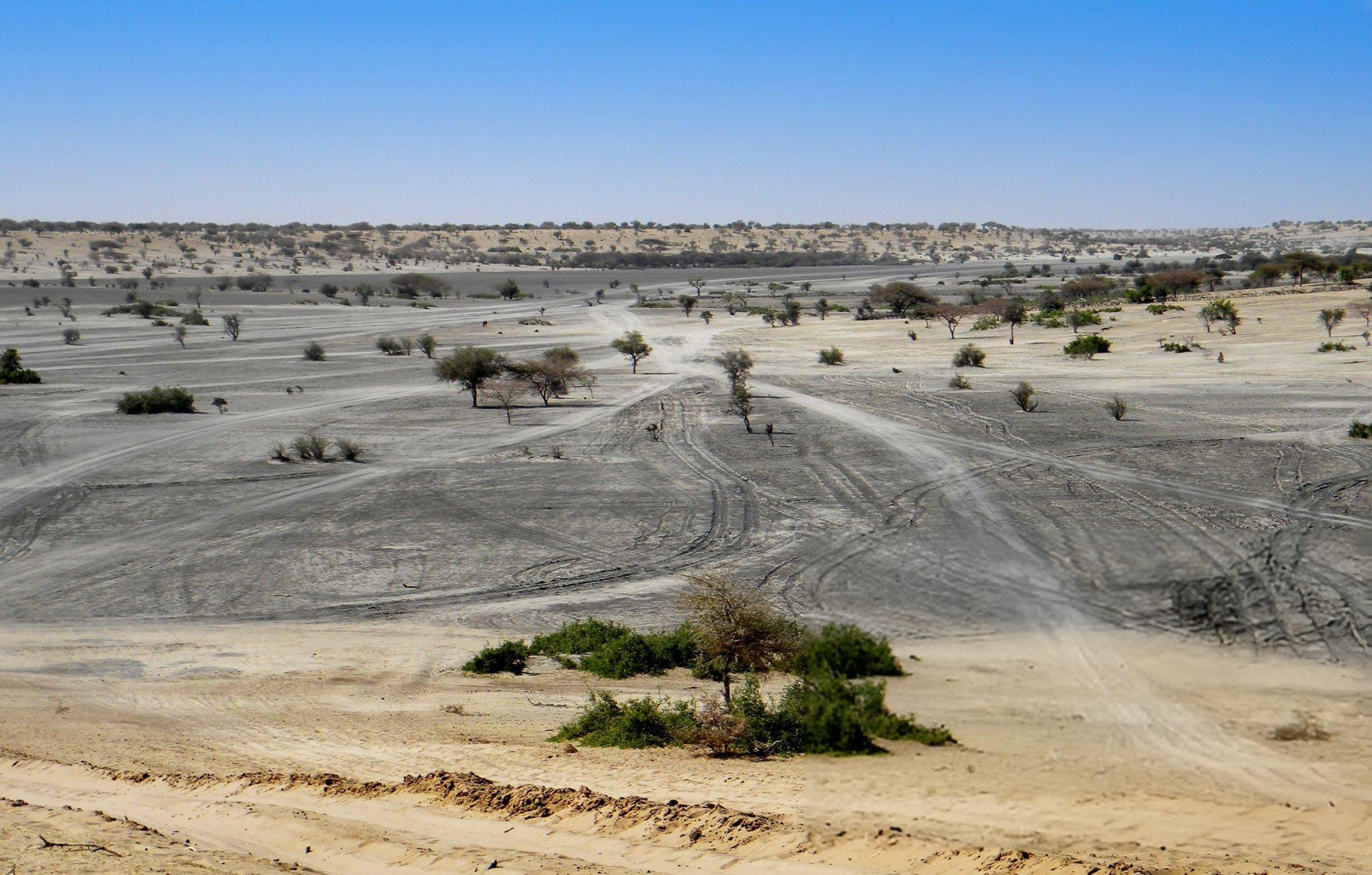 Природа Сахары. Часть 3 - свежие новости на Toplenta по теме египет