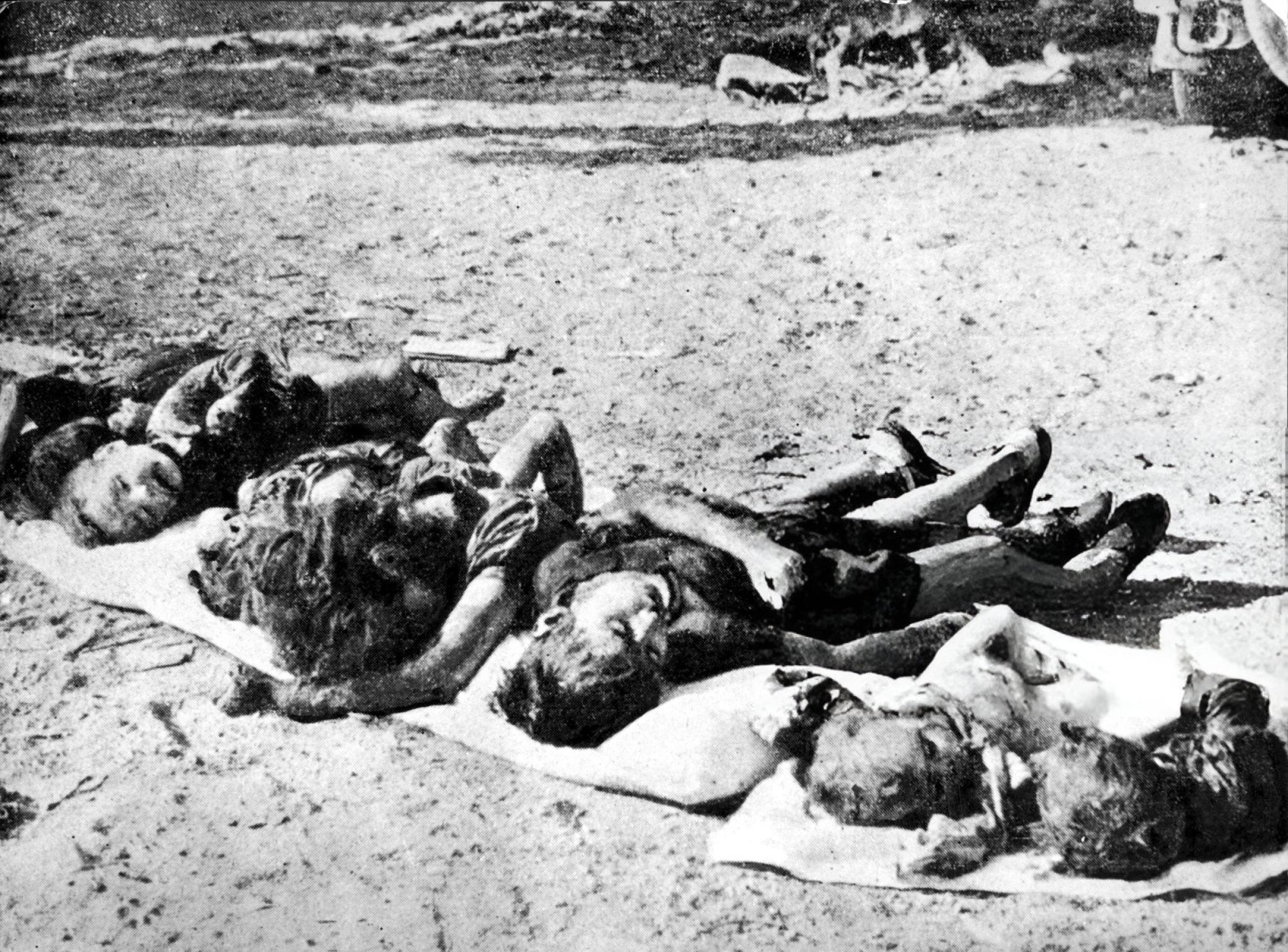 16 снимков из истории Алжирской войны - свежие новости на Toplenta по теме АГР