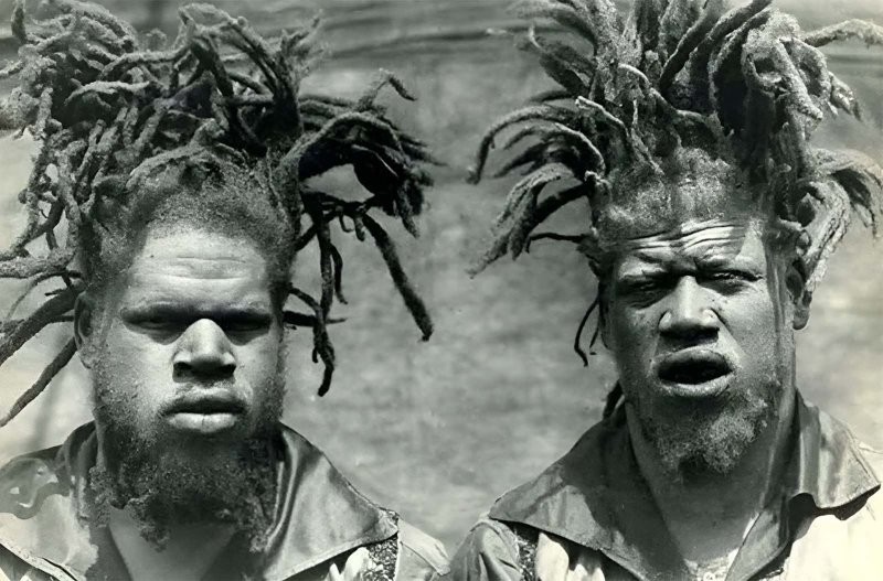 История братьев-альбиносов Джорджа и Вилли Мьюз, похищенных и проданных в цирк - похожая новость на Toplenta