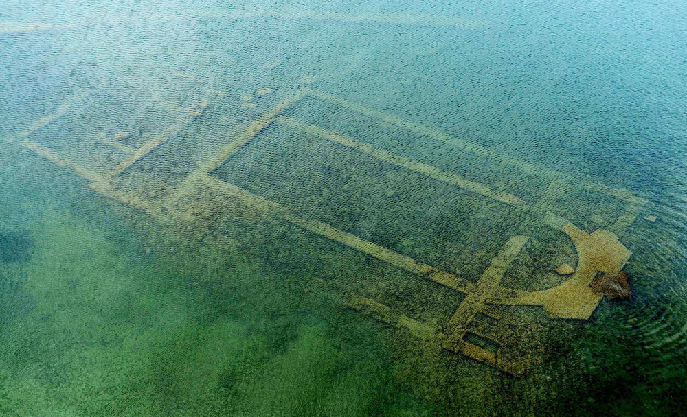 Арийская альтернатива - свежие новости на Toplenta по теме СТО