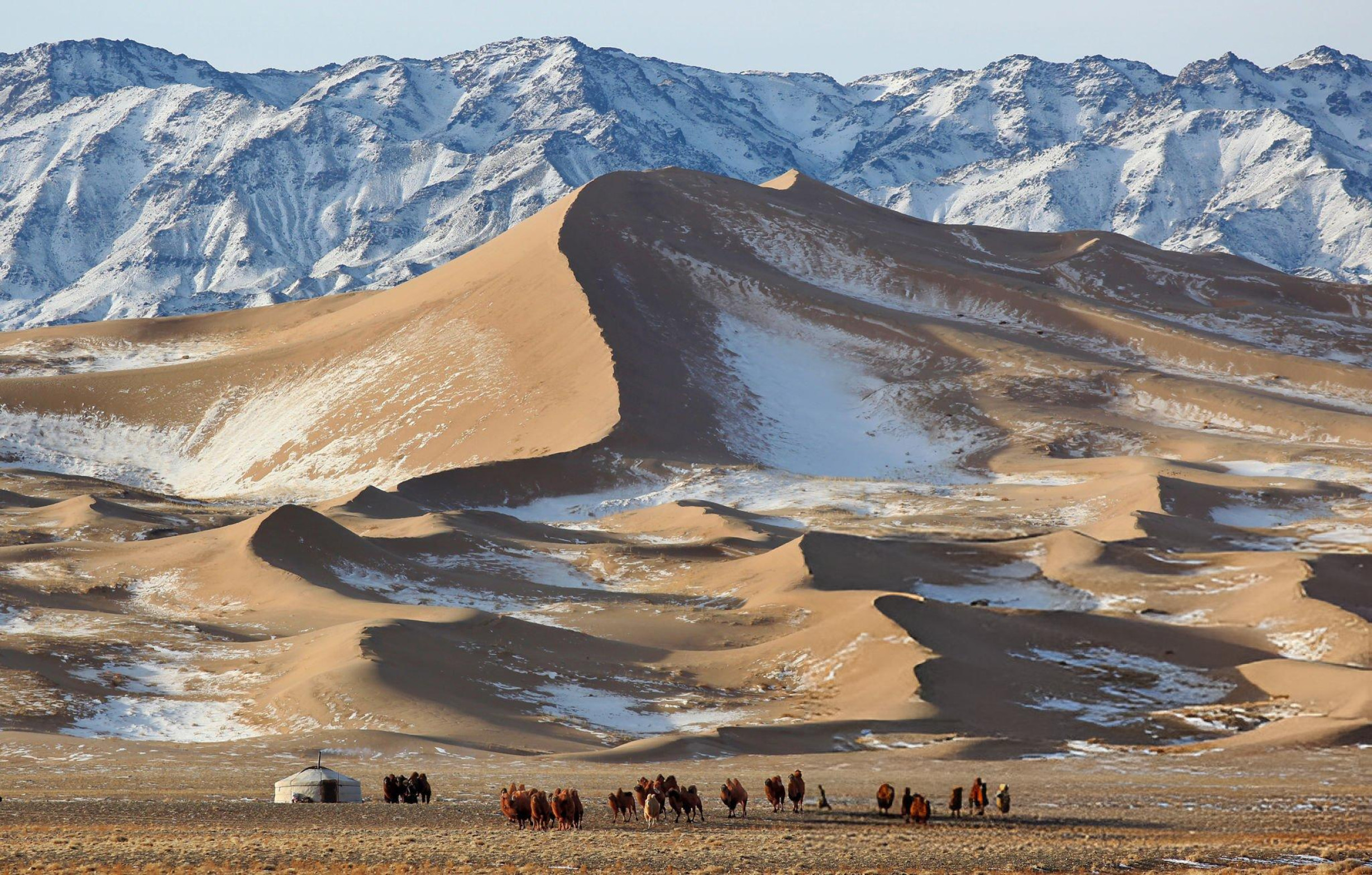 Пустыня Гоби - свежие новости на Toplenta по теме СТО
