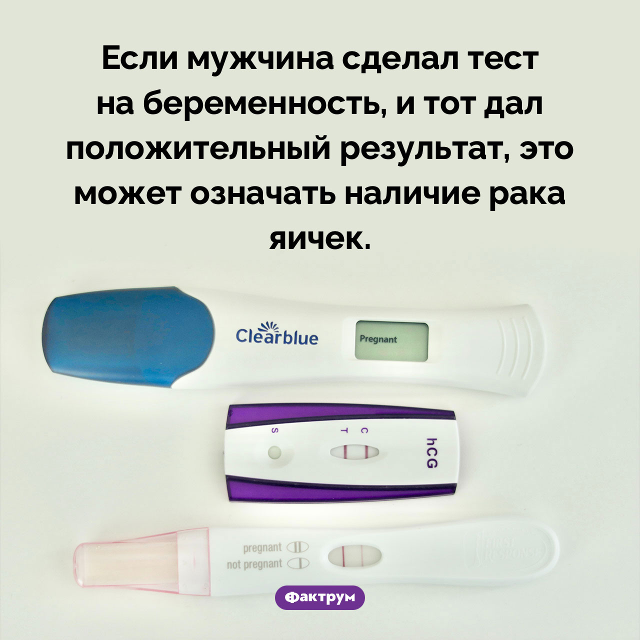 Тест на беременность и рак яичек - свежие новости на Toplenta по теме Чел