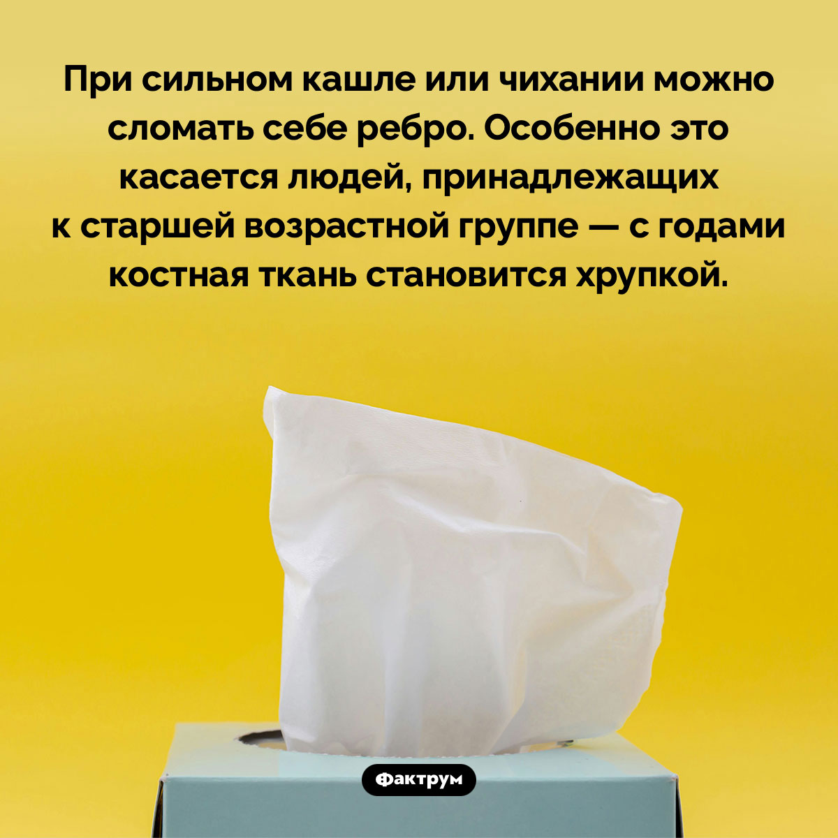Сильное чихание может сломать вам ребро - свежие новости на Toplenta по теме Факты в картинках