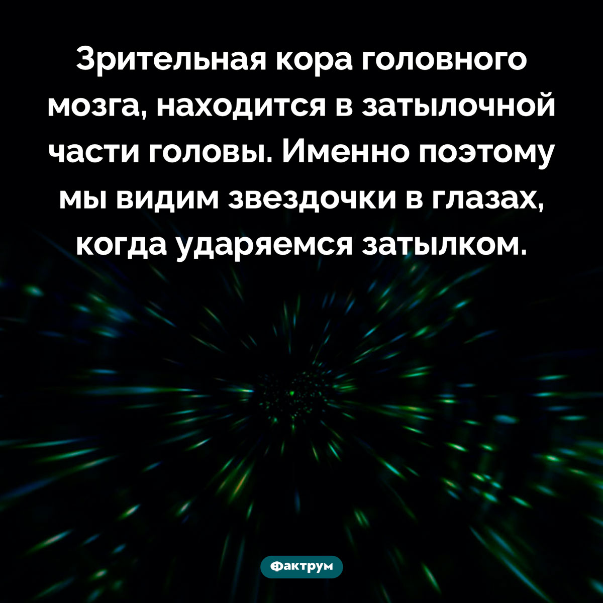 Почему мы видим звездочки в глазах - свежие новости на Toplenta по теме Мозге