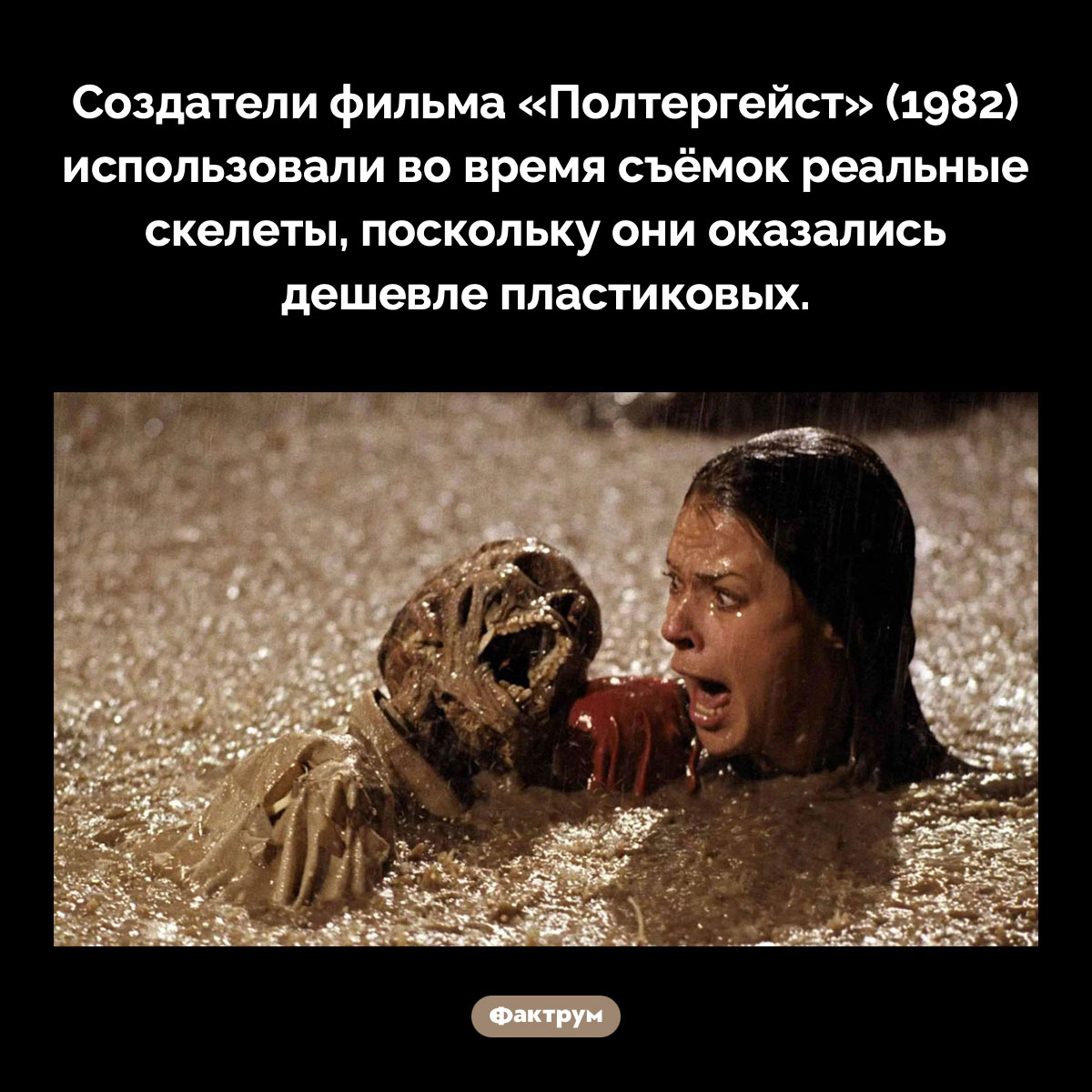 Создатели фильма «Полтергейст» (1982) использовали во время съёмок реальные скелеты - свежие новости на Toplenta по теме Факт