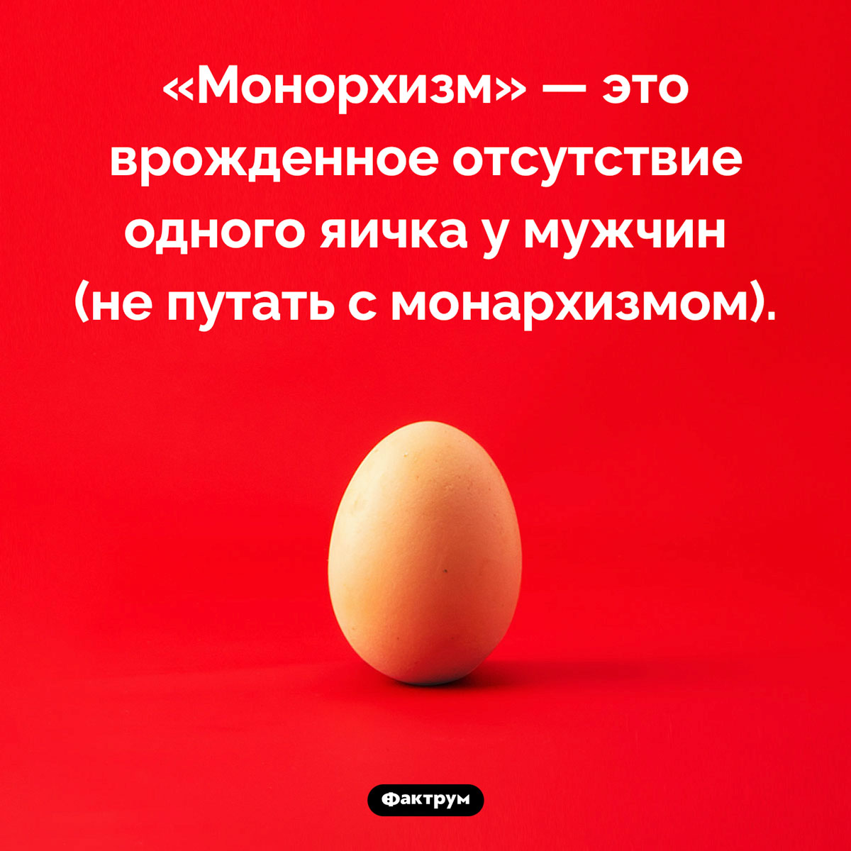 Что такое «монорхизм» - свежие новости на Toplenta по теме 22.01.2024