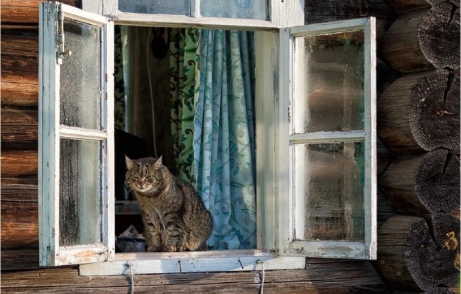 Почему раньше окна открывались наружу, а сейчас их можно встретить лишь в старинных домах - свежие новости на Toplenta по теме Serverless-архитектура