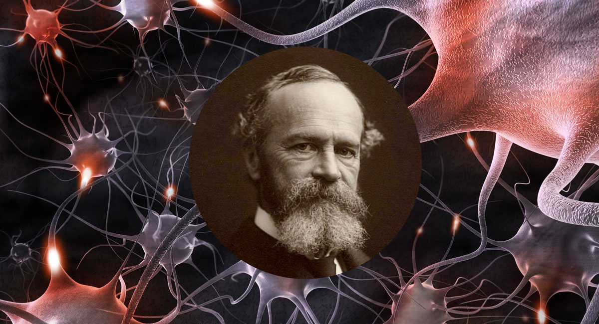 Миф о том, что «мы используем только 10% ресурсов своего мозга» взялся непонятно откуда - свежие новости на Toplenta по теме учёные