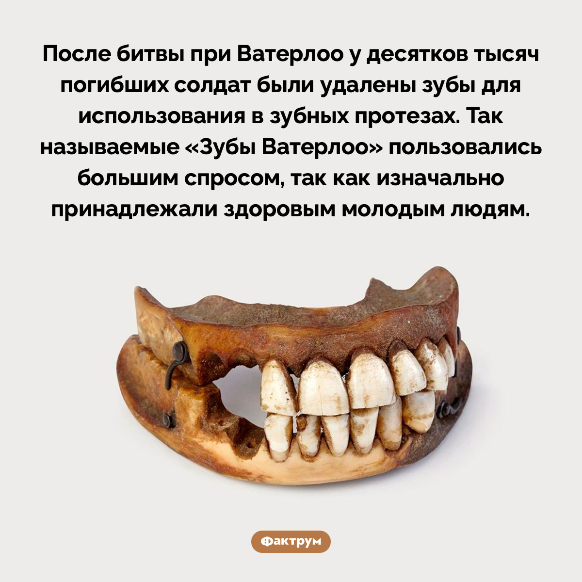 «Зубы Ватерлоо» - свежие новости на Toplenta по теме 1810-е