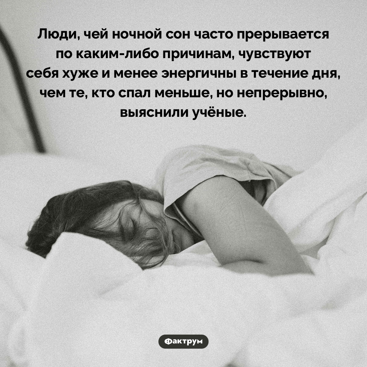 Часто прерывающийся ночной сон вреднее, чем более короткий, но непрерывный - свежие новости на Toplenta по теме Факты в картинках