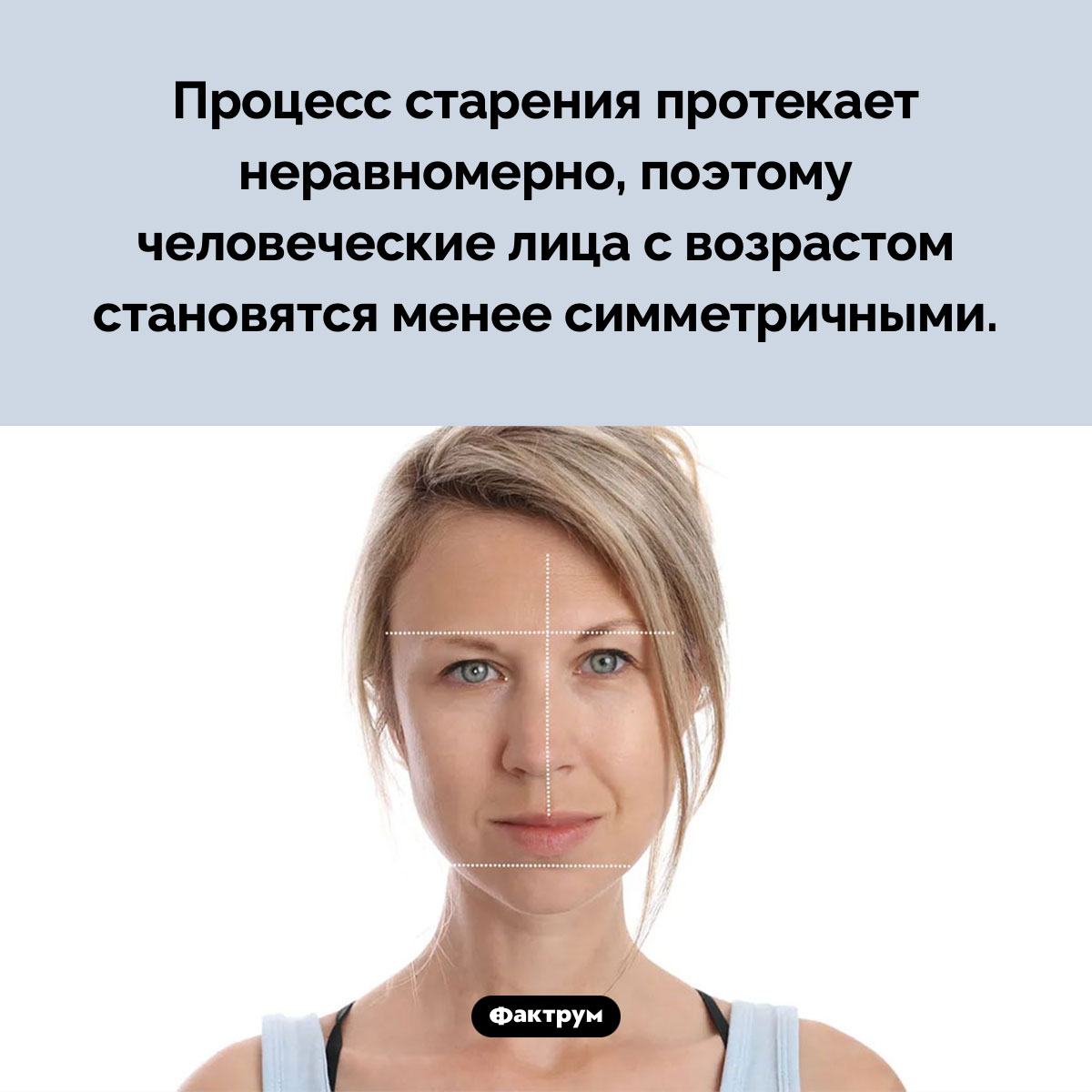 Почему человеческие лица с возрастом утрачивают симметрию - свежие новости на Toplenta по теме Факты в картинках