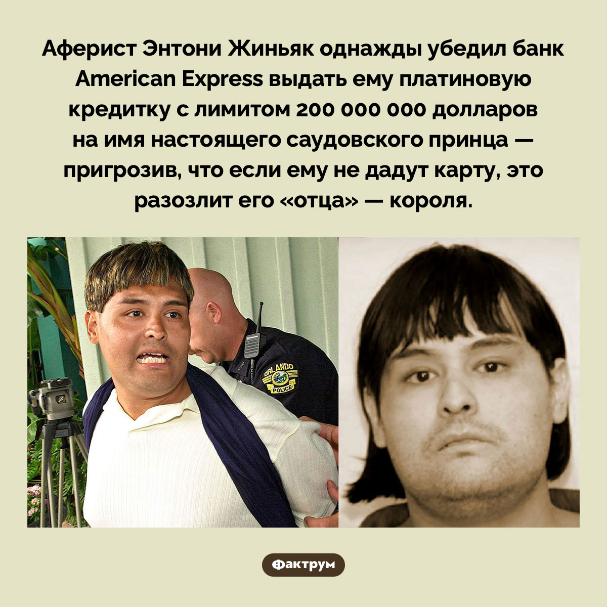 Афера на двести миллионов баксов - свежие новости на Toplenta по теме Известны