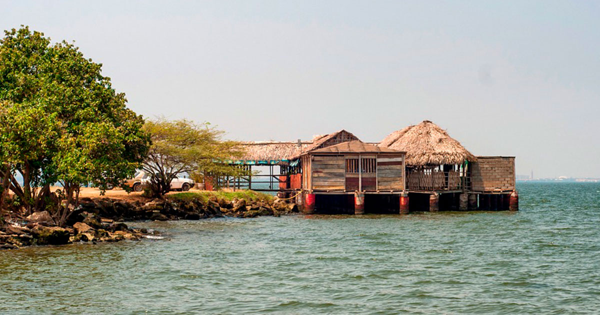 Что такое Венесуэла - свежие новости на Toplenta по теме названия