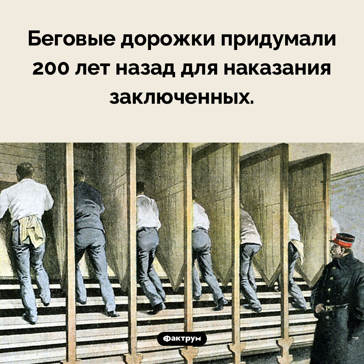 Как появились беговые дорожки - свежие новости на Toplenta по теме Факт