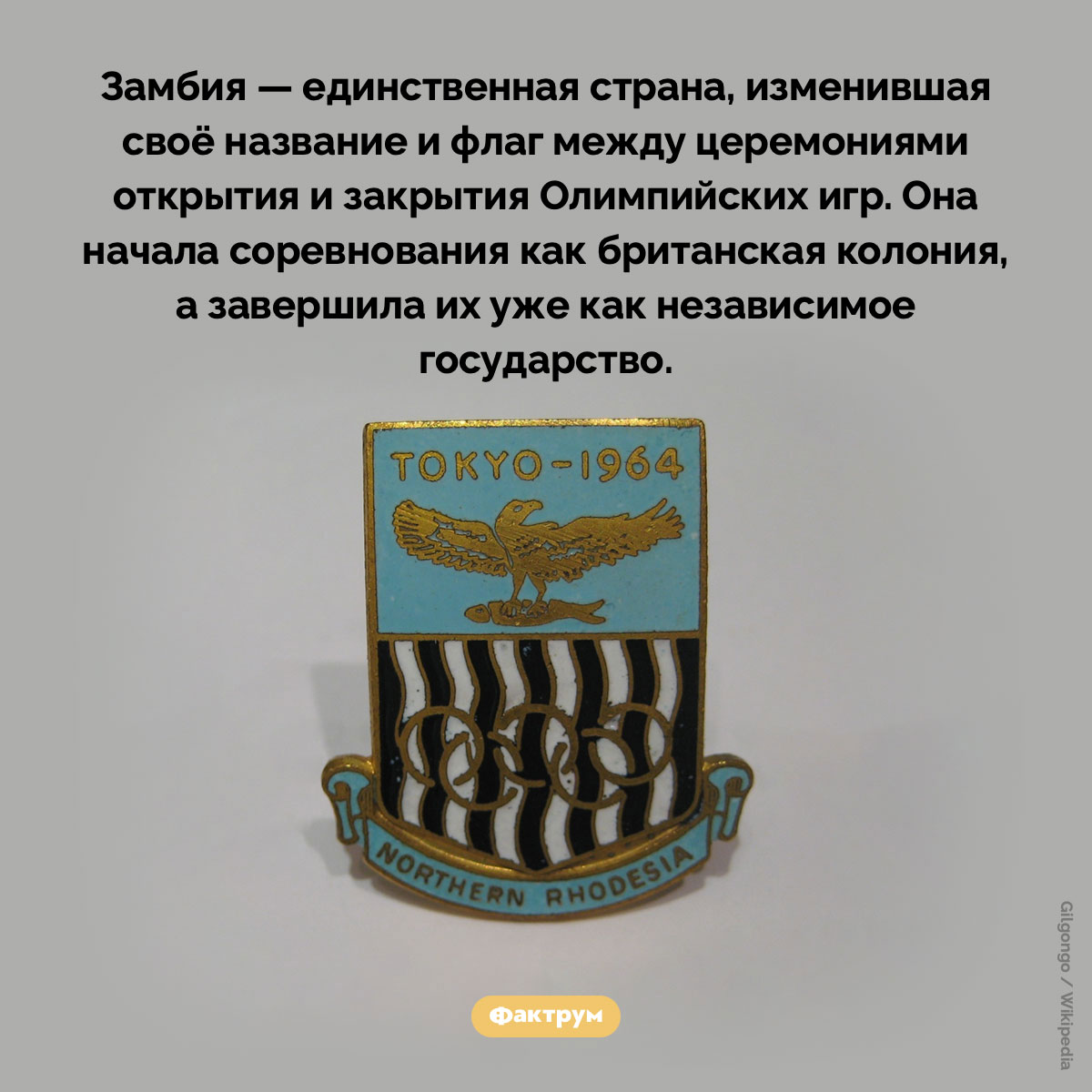 Замбия сменила название и флаг прямо посреди Олимпиады - свежие новости на Toplenta по теме По