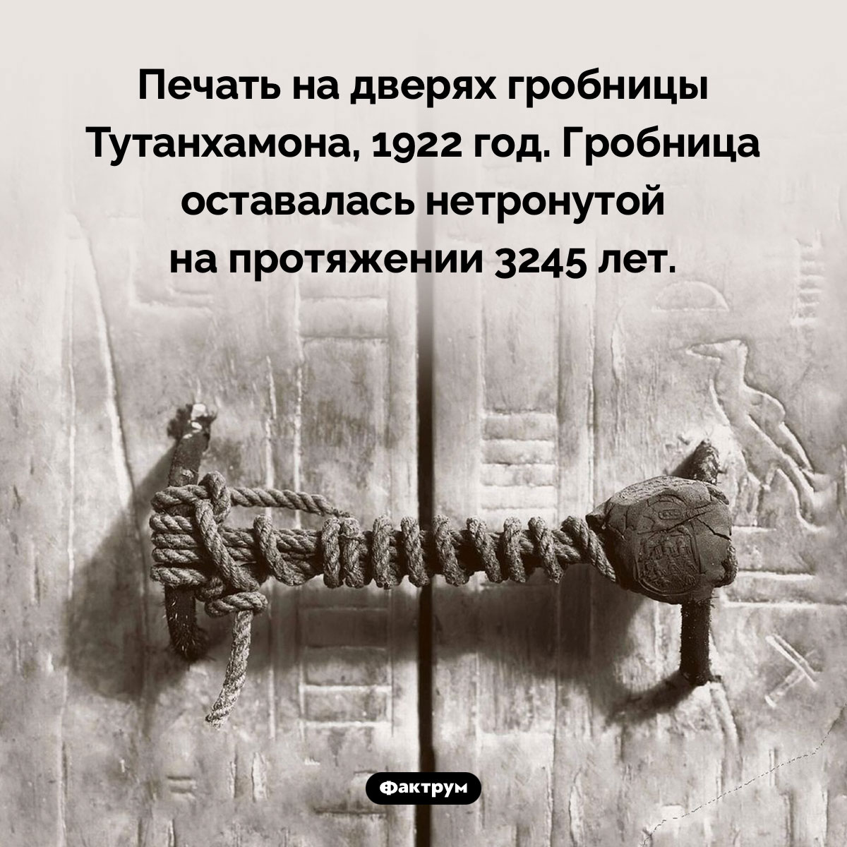 Печать на дверях гробницы Тутанхамона - свежие новости на Toplenta по теме Наук