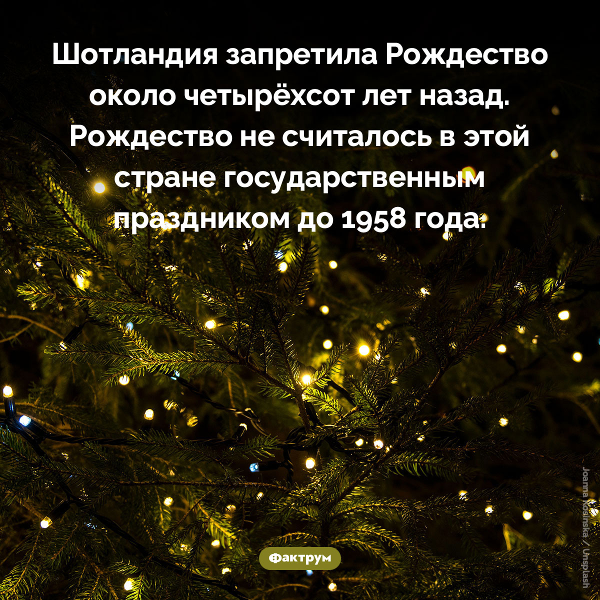 До 1958 года в Шотландии не праздновали Рождество - свежие новости на Toplenta по теме законы