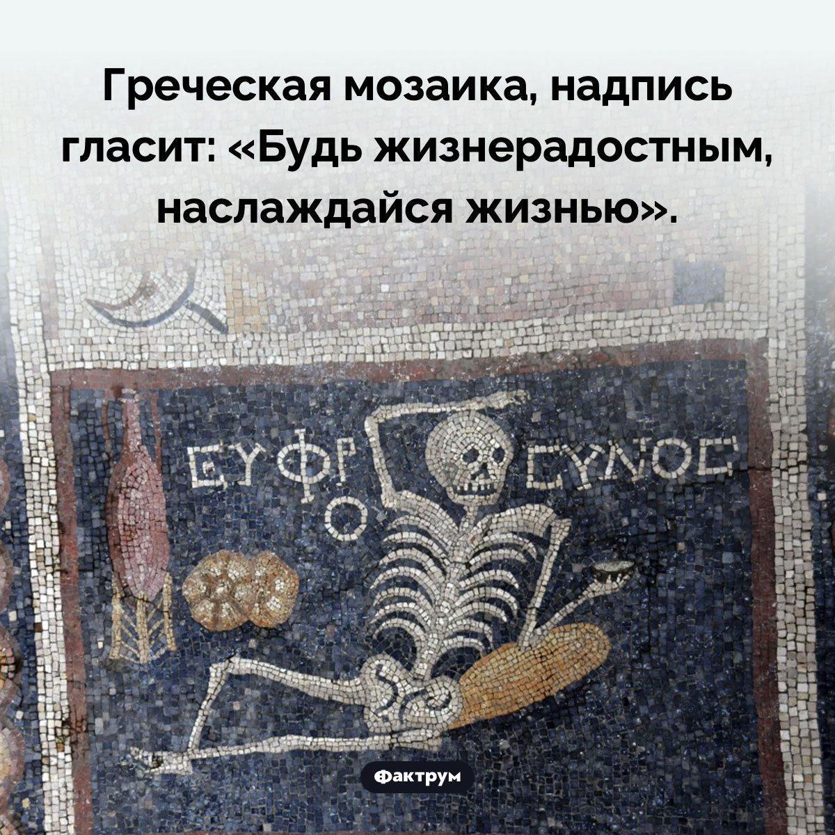«Будь жизнерадостным, наслаждайся жизнью» - свежие новости на Toplenta по теме Наук