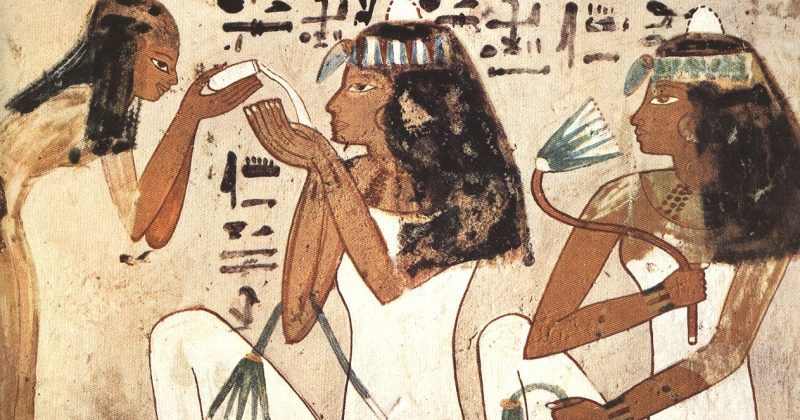 Мировая история контрацепции — паутина, навоз слона и другие эффективные средства - свежие новости на Toplenta по теме русь