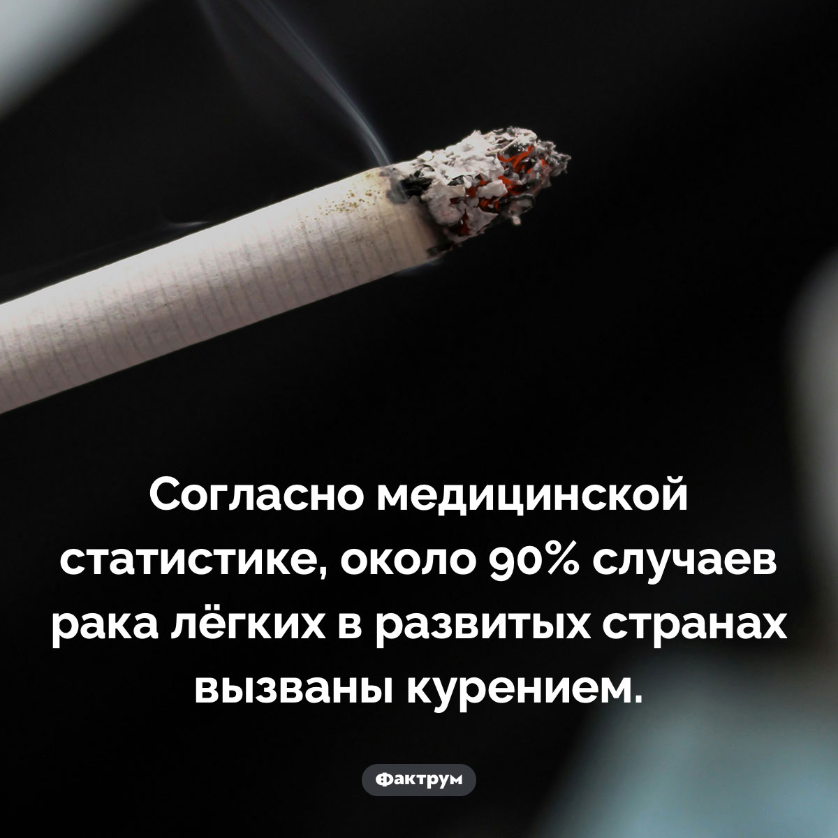 Чем вызывается рак лёгких - свежие новости на Toplenta по теме курение