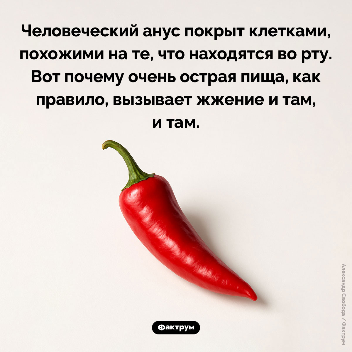 Человеческий анус покрыт клетками, похожими на те, что во рту - свежие новости на Toplenta по теме Факты в картинках
