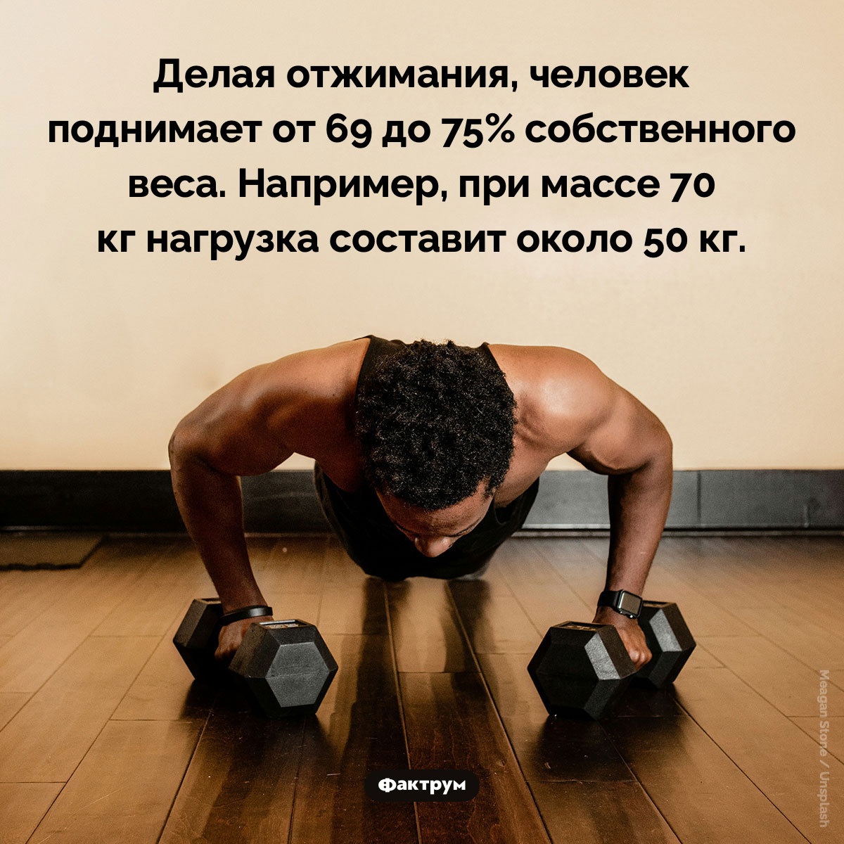 Насколько эффективны отжимания - свежие новости на Toplenta по теме Факты в картинках