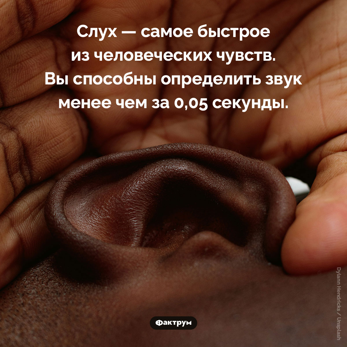 Слух — самое быстрое из человеческих чувств - свежие новости на Toplenta по теме Факты в картинках