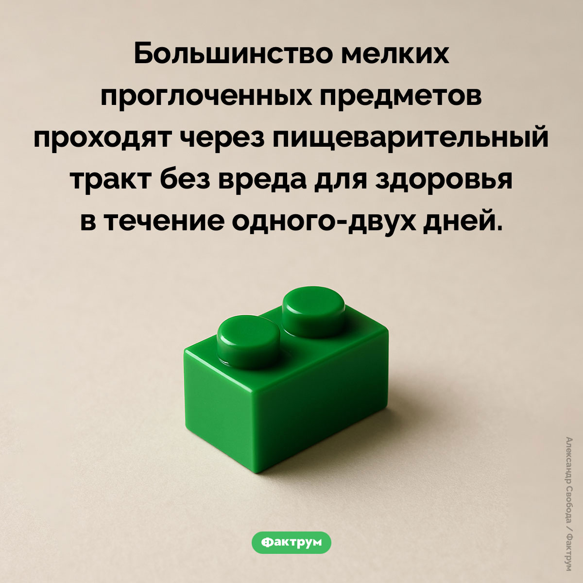 Что происходит с проглоченными предметами - свежие новости на Toplenta по теме Факты в картинках
