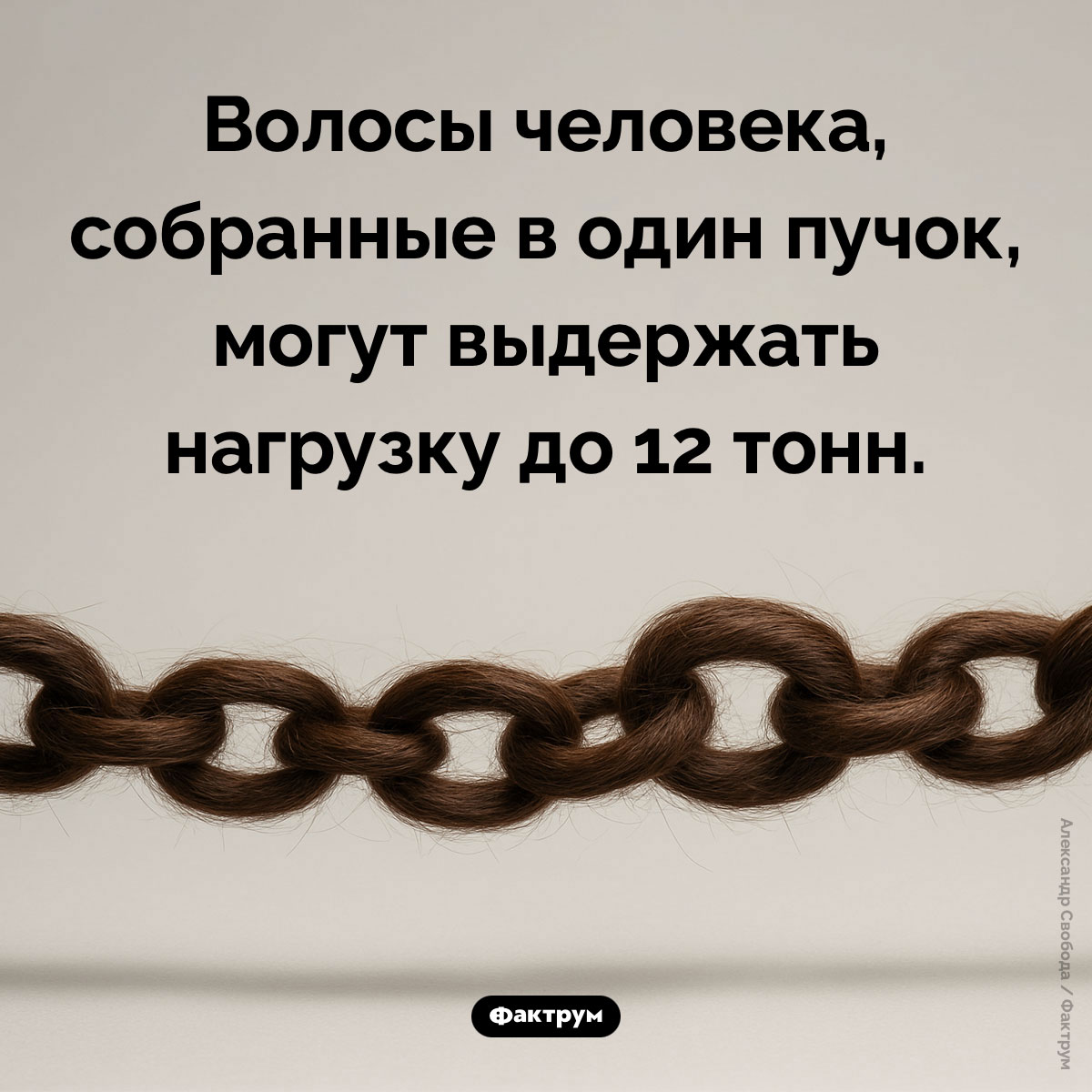 Какой вес могут выдерживать волосы человека - свежие новости на Toplenta по теме Факты в картинках