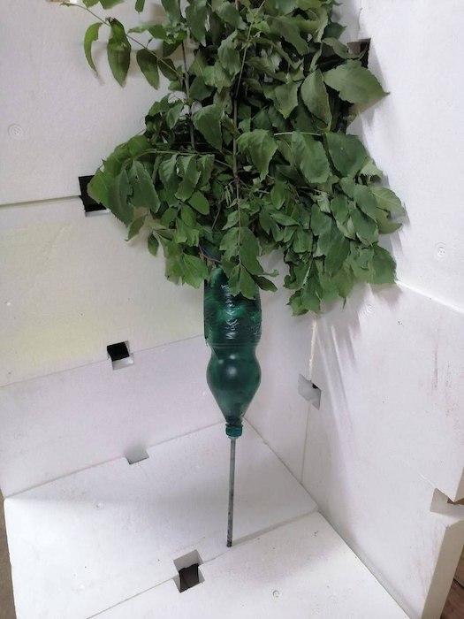 Противник применяет новую тактику минирования - свежие новости на Toplenta по теме В мире  /  Соцпортал