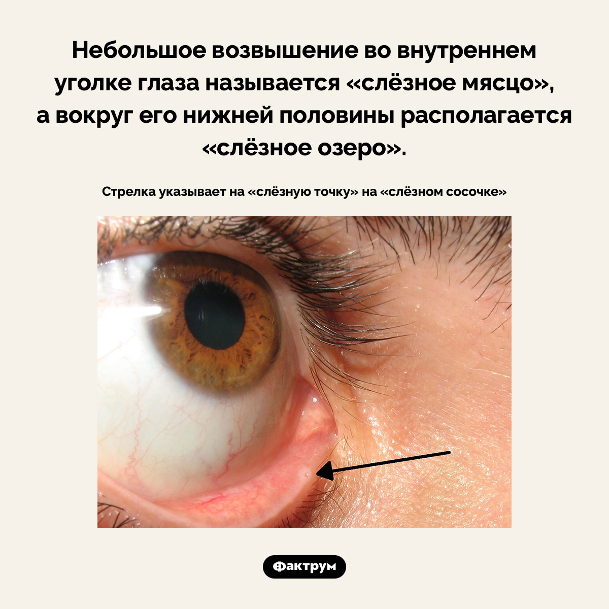 Где находится слёзное озеро - свежие новости на Toplenta по теме 06.03.2024