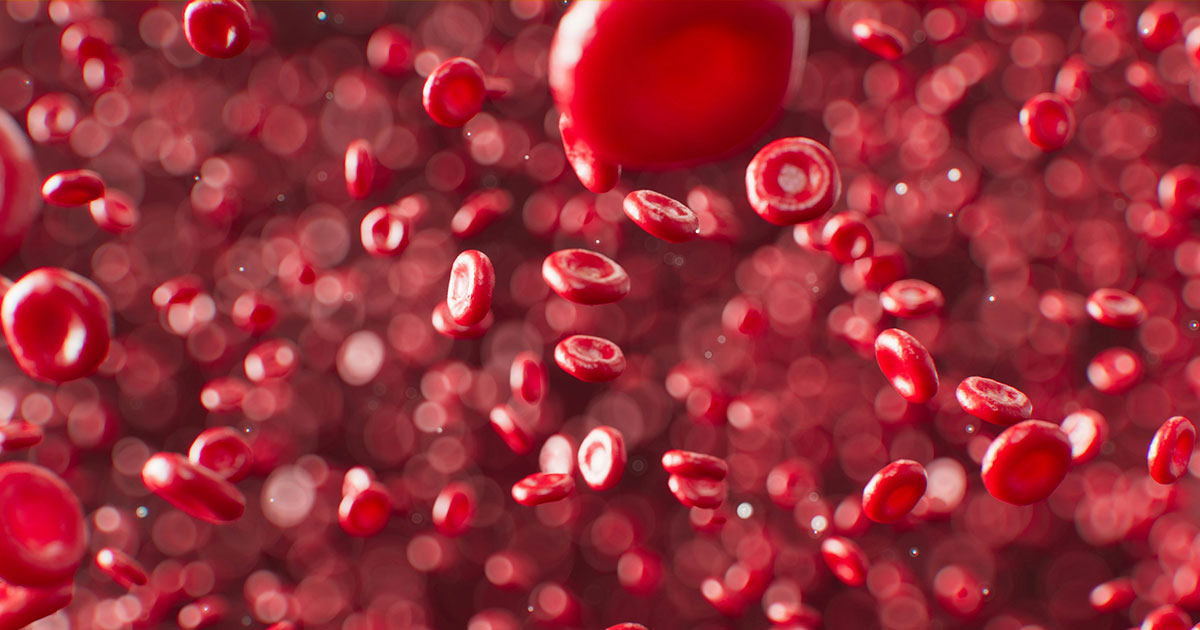 Крови нужна всего минута, чтобы полностью пройти тело - похожая новость на Toplenta