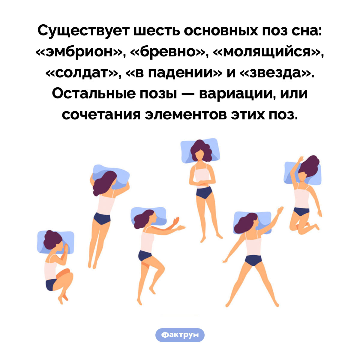 Шесть основных поз сна - свежие новости на Toplenta по теме Факты в картинках
