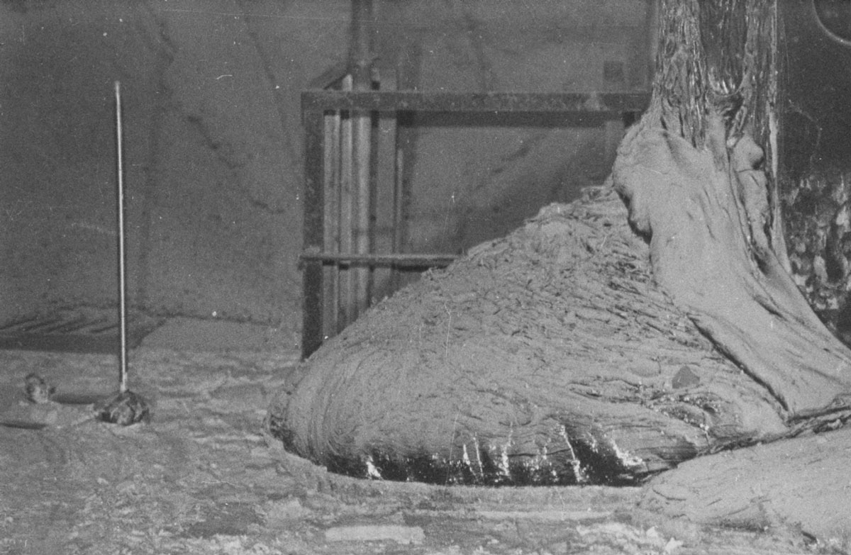 Чернобыльская «Слоновья нога» - свежие новости на Toplenta по теме Чернобыльская АЭС