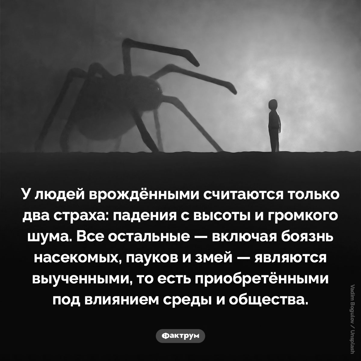 Два страха - свежие новости на Toplenta по теме Факты в картинках